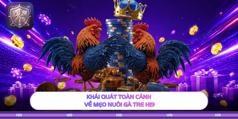 Khái quát toàn cảnh về mẹo nuôi gà tre H19