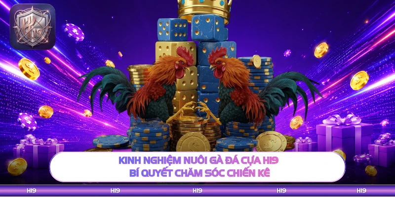 Kinh Nghiệm Nuôi Gà Đá Cựa H19 - Bí Quyết Chăm Sóc Chiến Kê